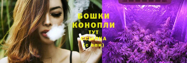 амф Касимов