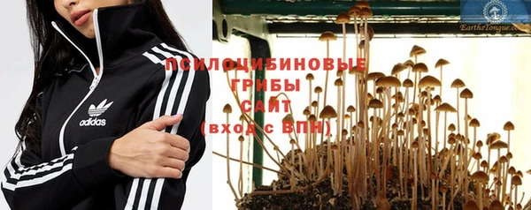 спиды Кинешма